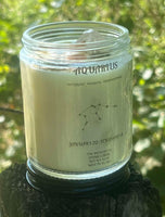 Aquarius Zodiac Candle ~ 6.5 Oz