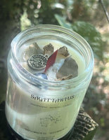 Sagittarius Zodiac Candle ~ 6.5 Oz