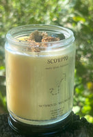 Scorpio Zodiac Candle ~ 6.5 Oz