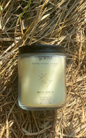 Gemini Zodiac Candle ~ 6.5 Oz