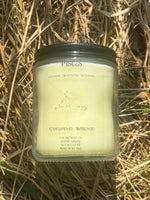 Pisces Zodiac Candle ~ 6.5 Oz