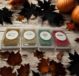 Fall 2024 Wax Melt Collection ~ SET OF 4 ~ LIMITED EDITION