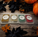 Fall 2024 Wax Melt Collection ~ SET OF 4 ~ LIMITED EDITION