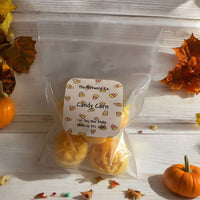 Halloween Soy Wax Melts - 9 Scents - 1 Oz Packs