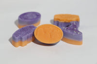 The Sisters Just A Bunch Of Hocus Pocus Halloween Soy Wax Melts